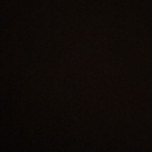 Meet your Posher, Camryn